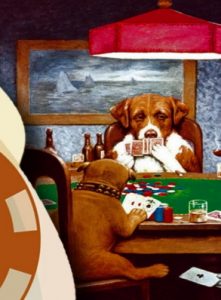 What are the pros of gambling online for your dog?