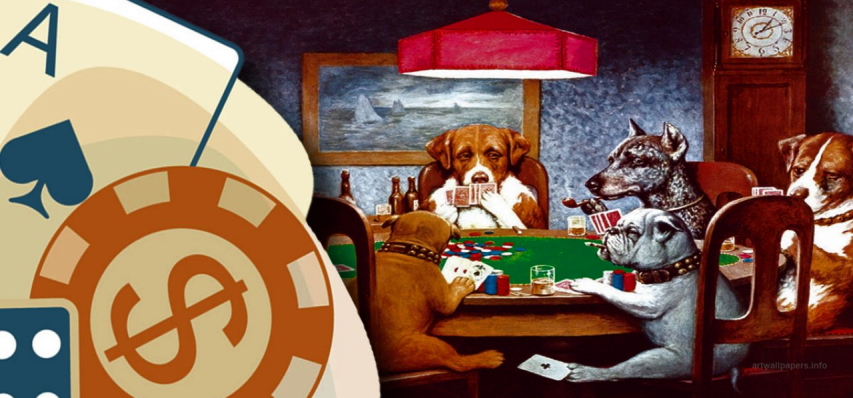 What are the pros of gambling online for your dog?